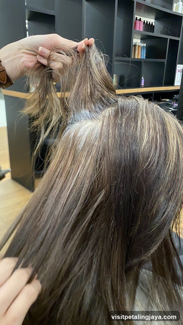Hair Salon Interior