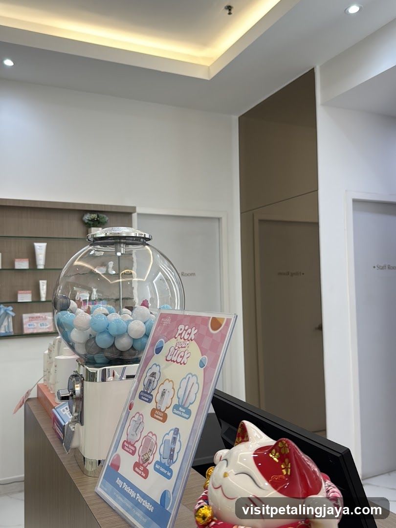 Gumball Machine and Lucky Cat Display