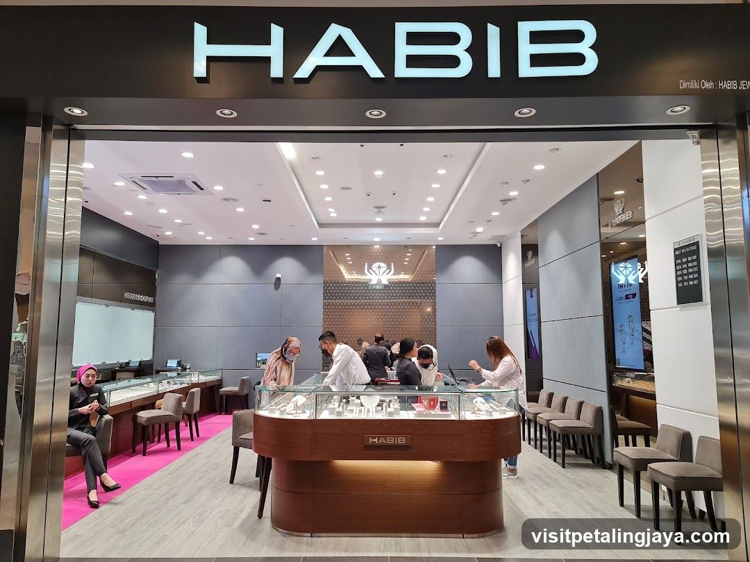HABIB The Curve