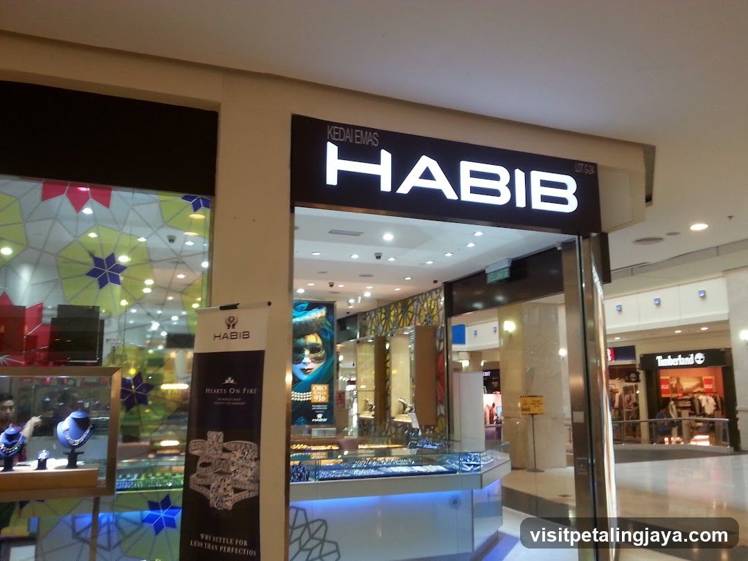 HABIB The Curve
