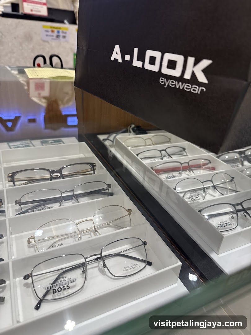 Eyewear Display Case