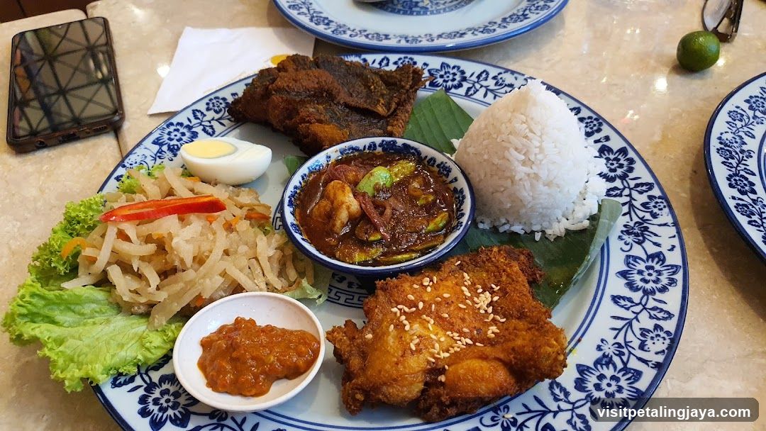 Fried Chicken and Curry Plate
