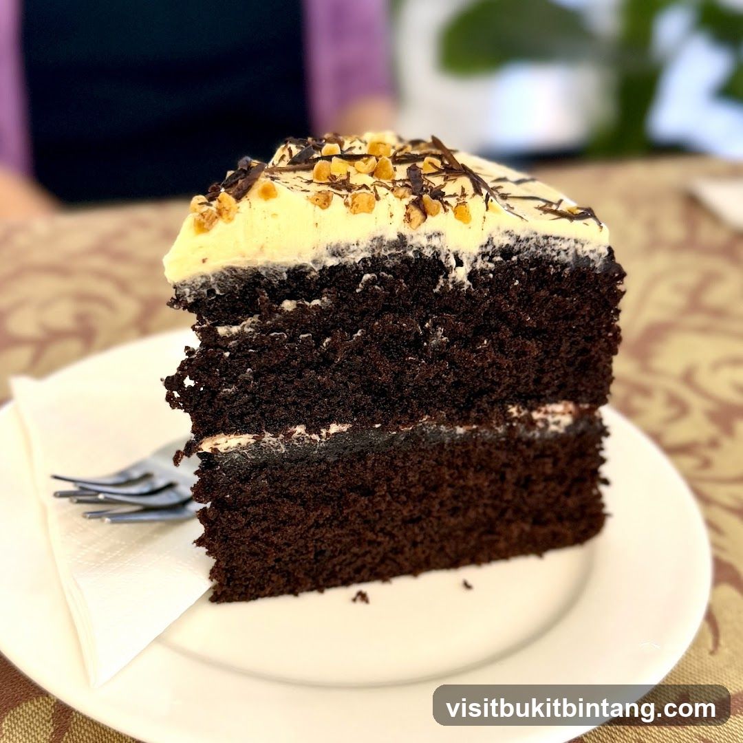 Chocolate Cake Slice