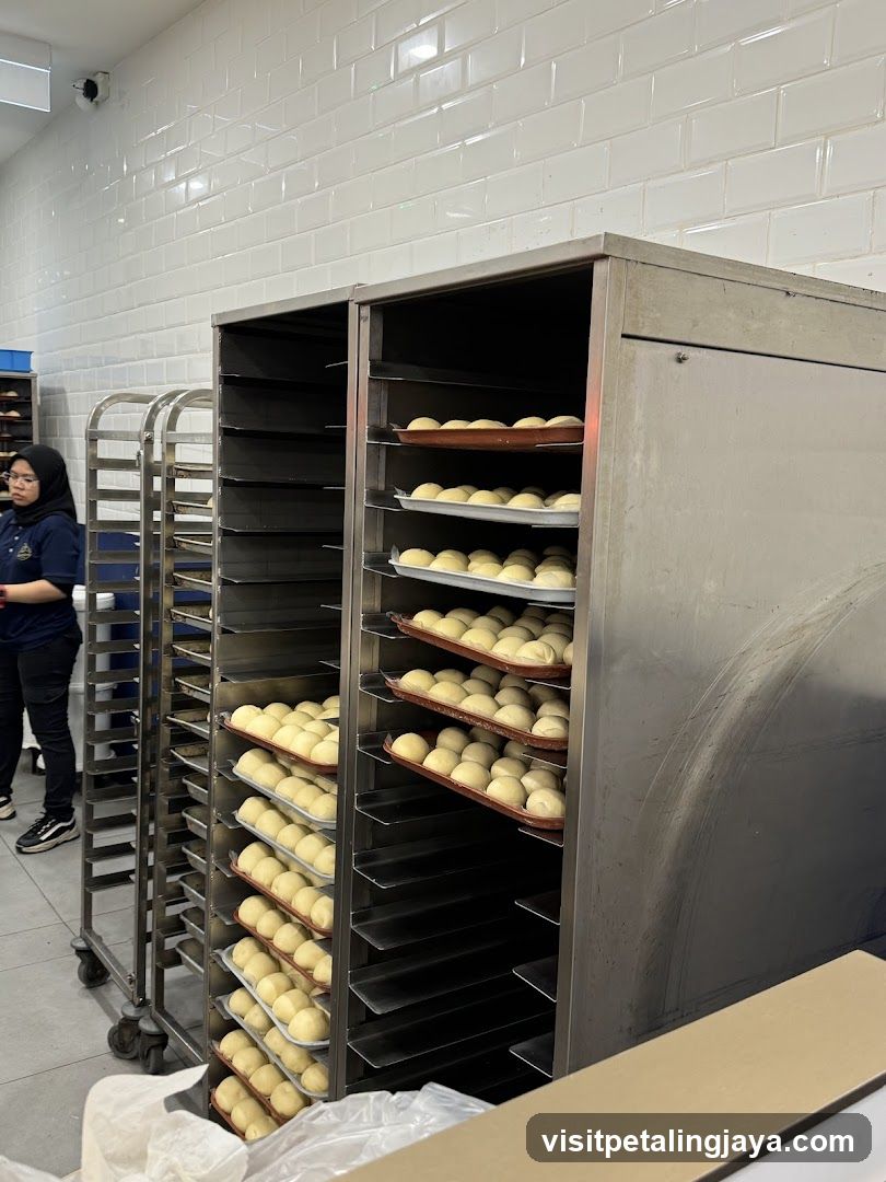 Bakery Interior with Dough Balls