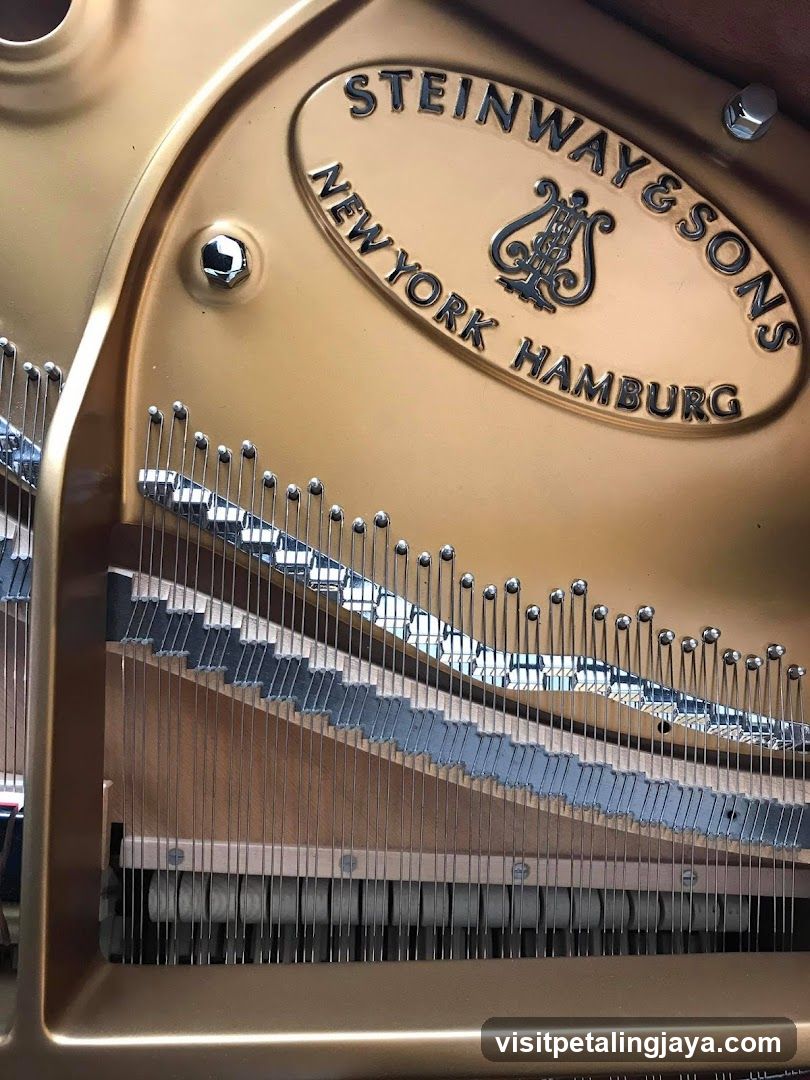 Steinway & Sons Piano Interior