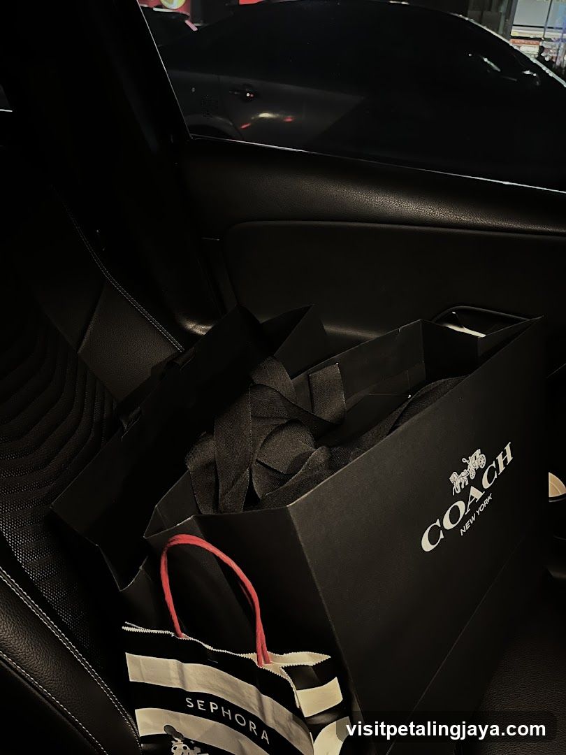 Shopping bags in car