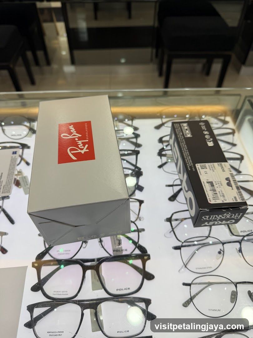 Eyeglass Display Case