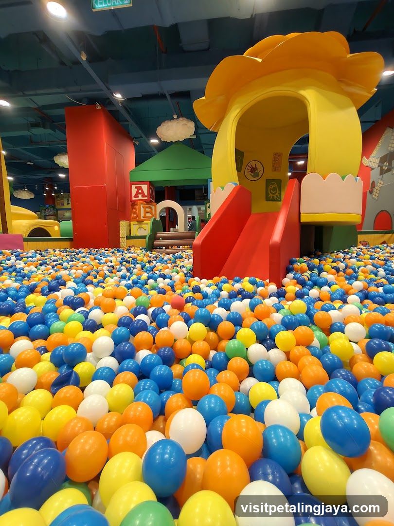 Ball Pit Play Area
