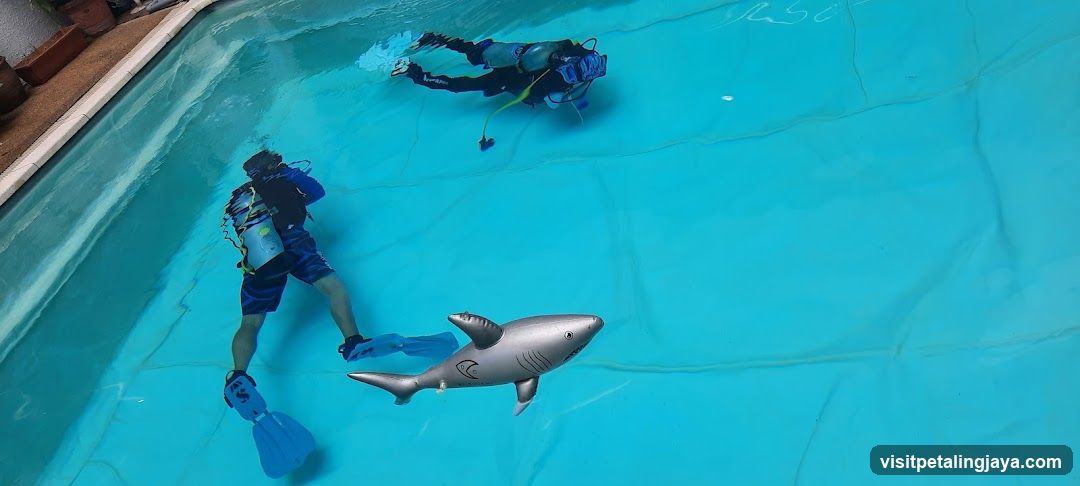 Divers in Pool with Inflatable Shark