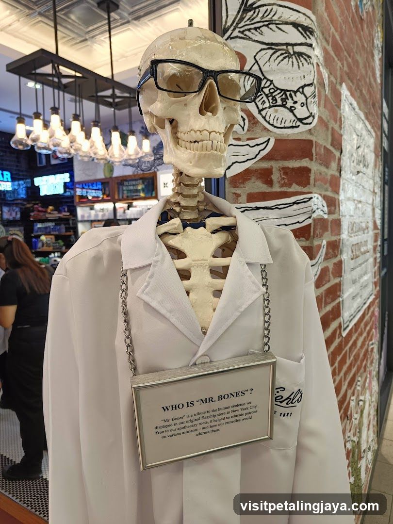 Skeleton Man in Lab Coat