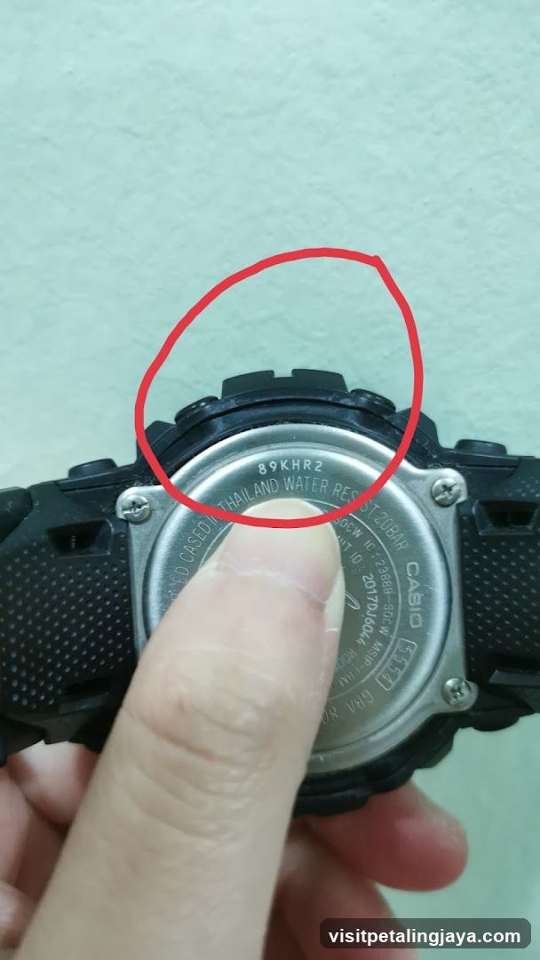 Casio Watch Back View