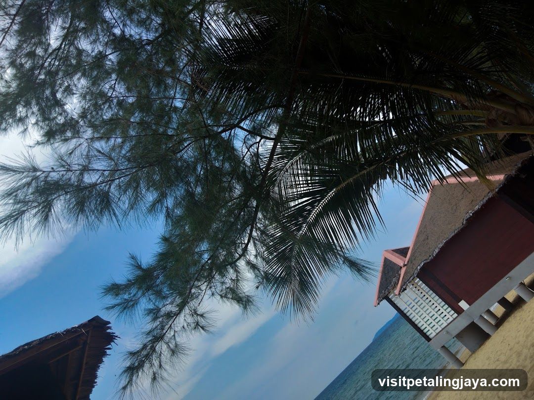 Beachside Hut View