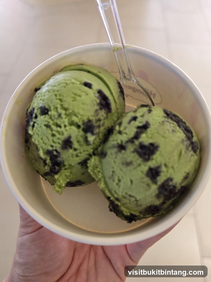 Green Tea Ice Cream with Chocolate Chunks
