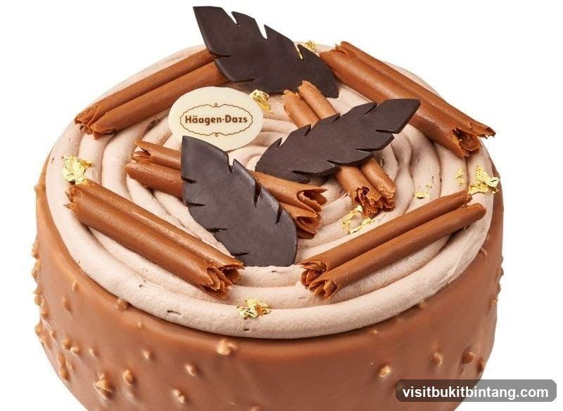 Häagen-Dazs Ice Cream Cake