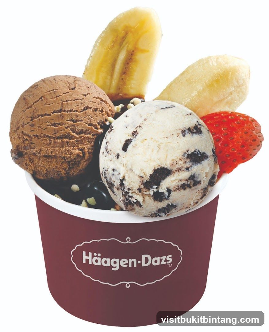 Häagen-Dazs Ice Cream Cup