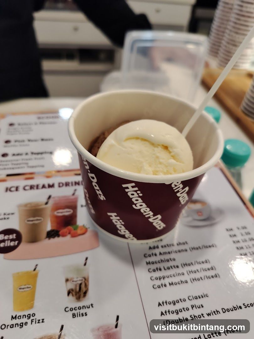 Häagen-Dazs Ice Cream Cup and Menu