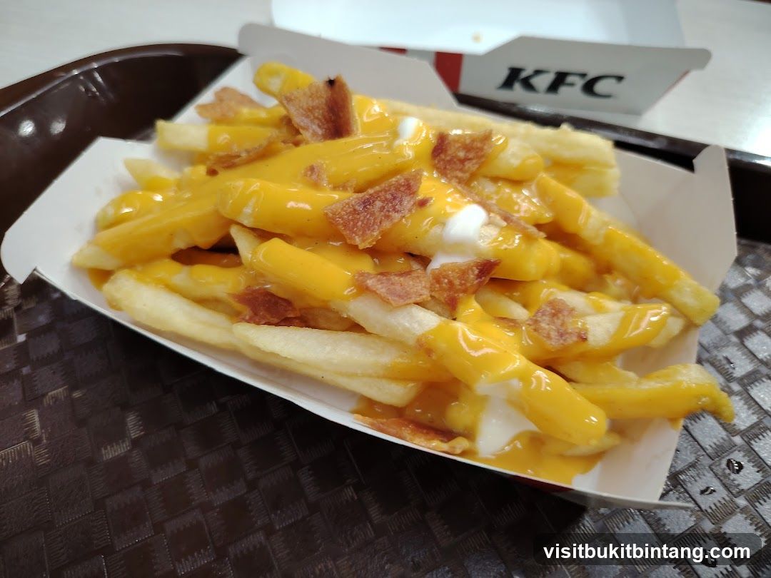 Cheese Fries with Bacon