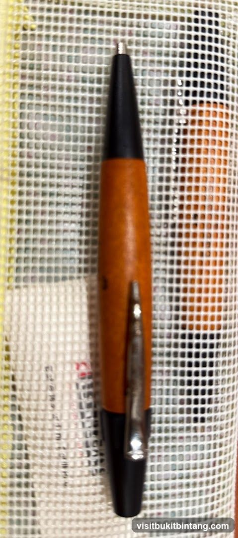 Pen on Needlepoint Canvas