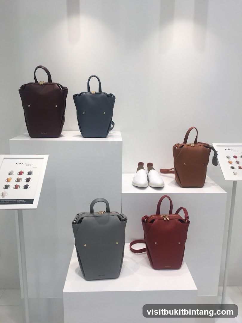 Handbags and Shoes Display