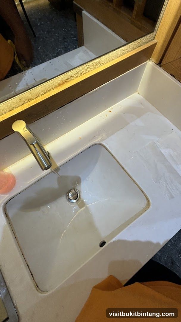 Sink and Countertop