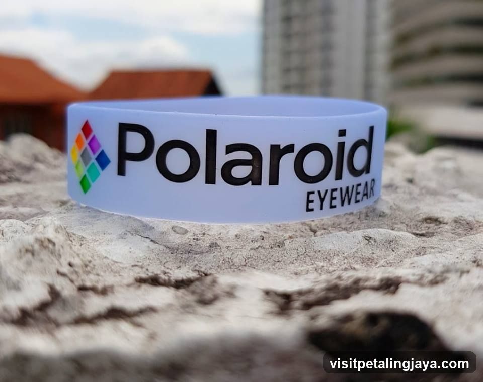 Polaroid Eyewear on Rock