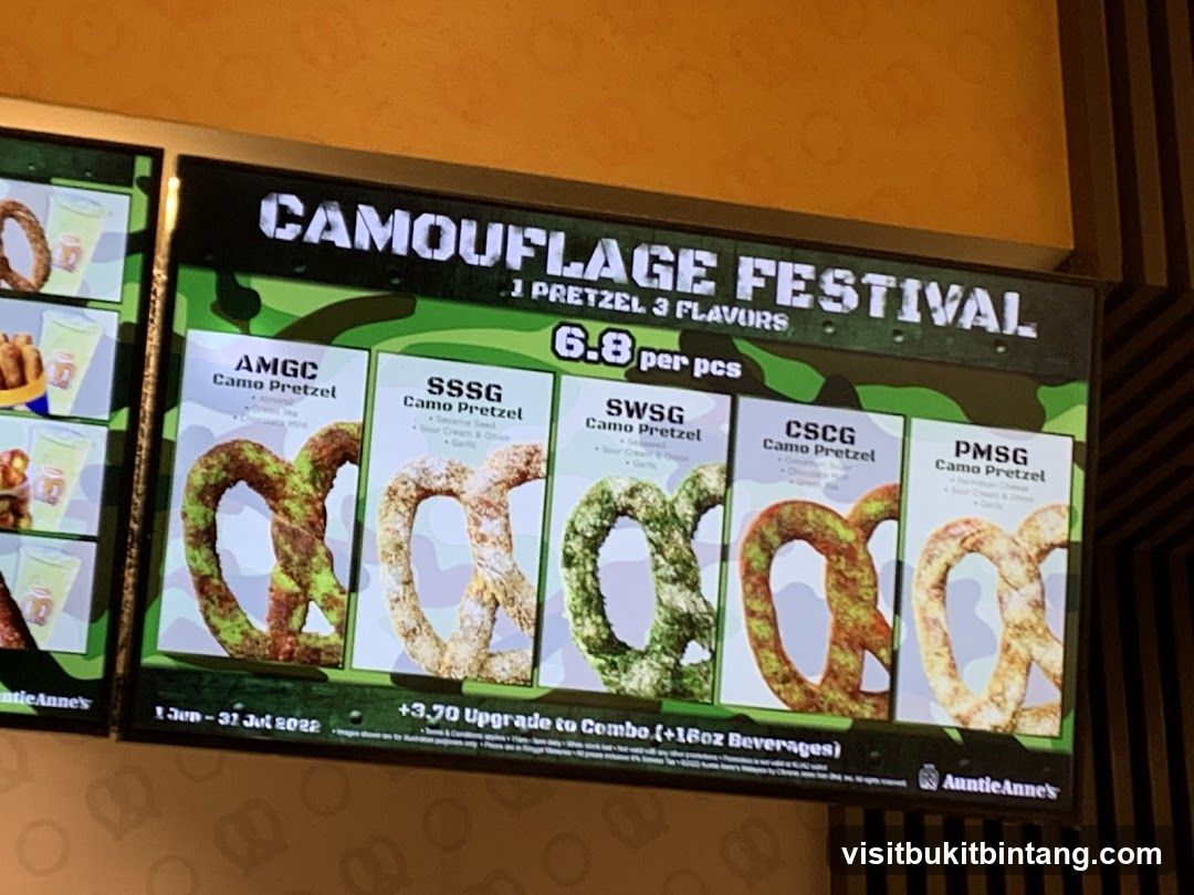 Camouflage Festival