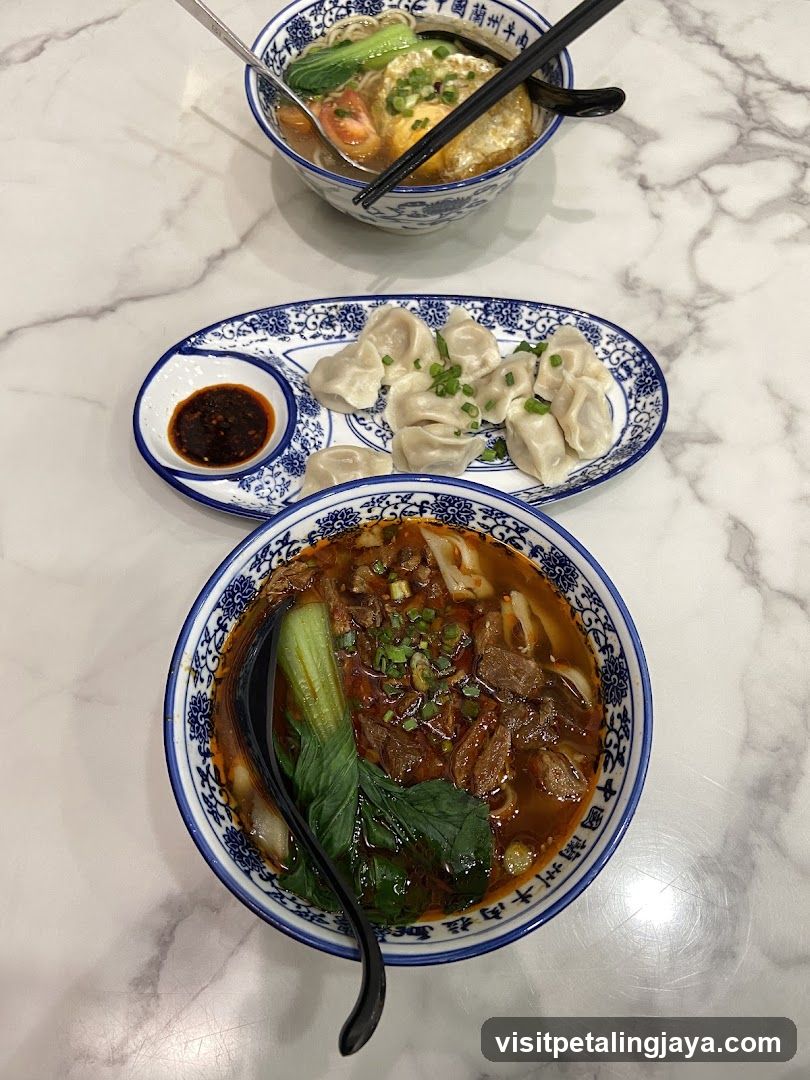 Chinese Noodle and Dumpling Meal