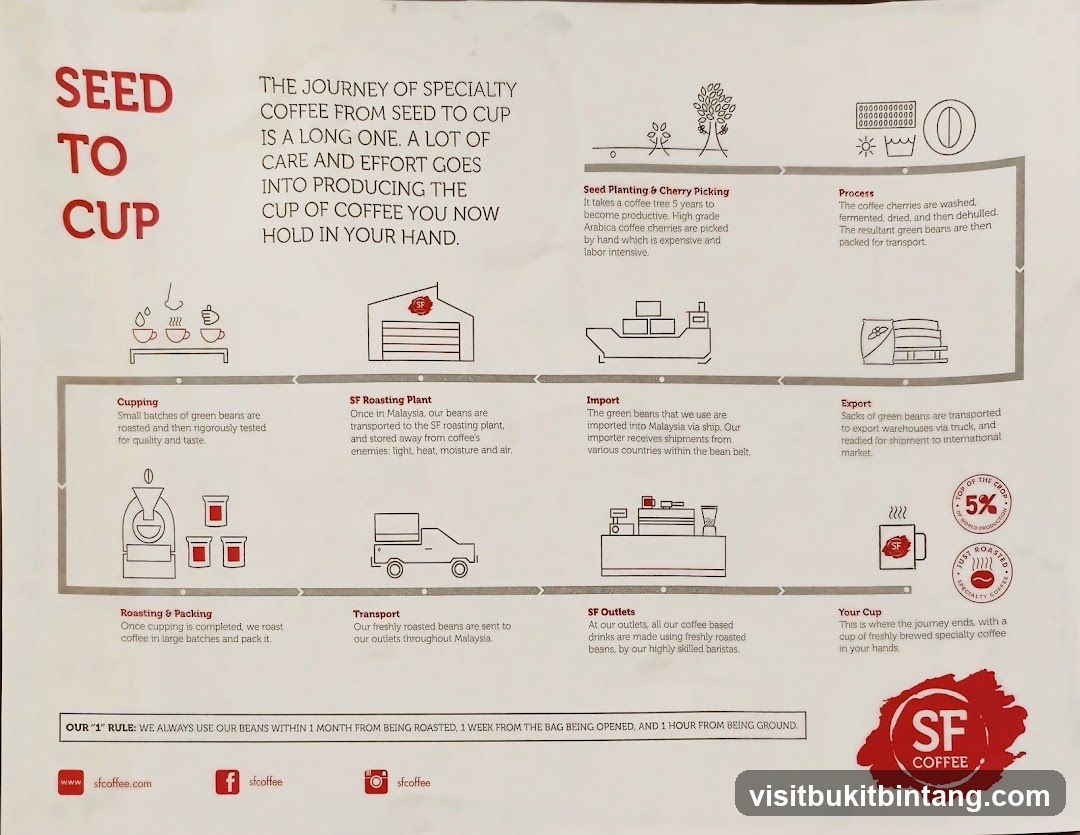 The Journey of Specialty Coffee
