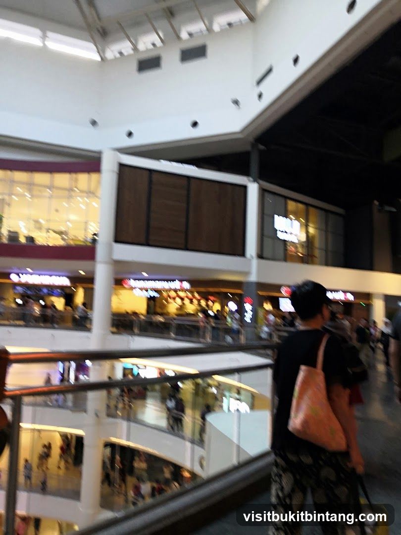 Mall Interior with Shoppers