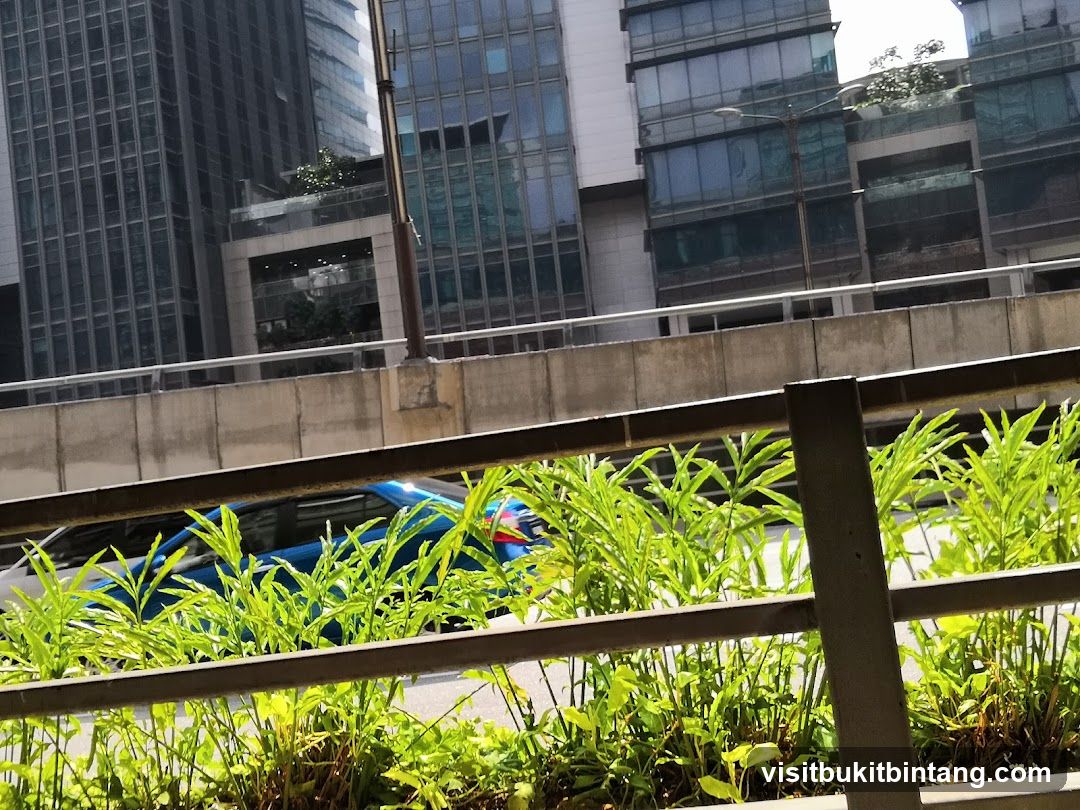 Urban street with modern buildings and greenery