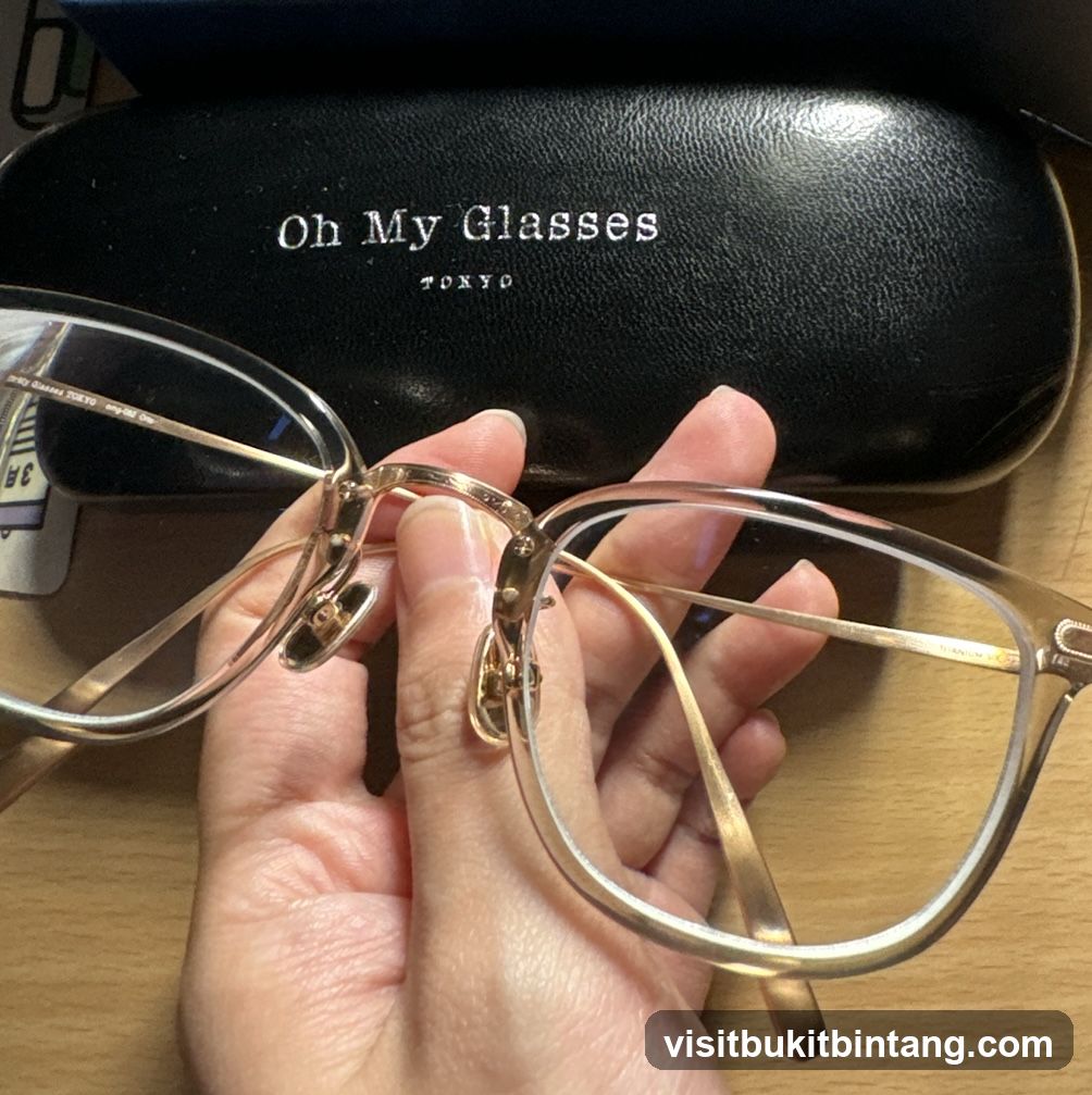 Eyeglasses and Case