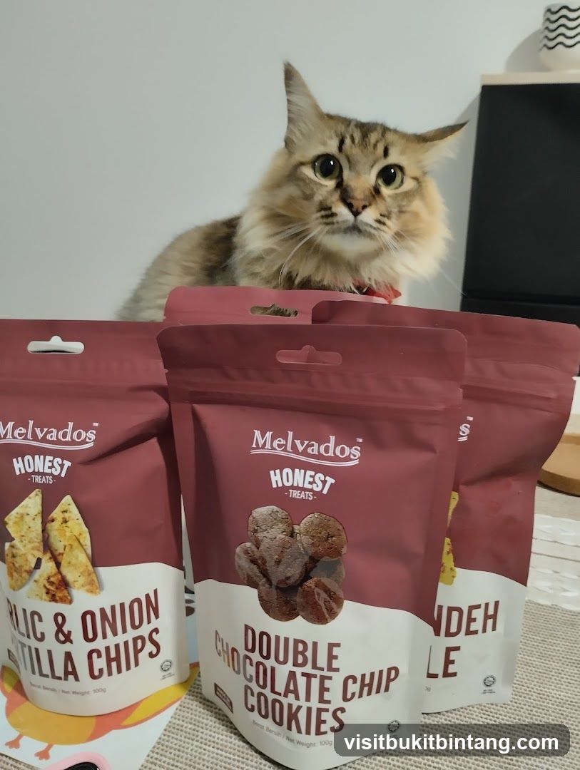Cat with Melvados Treats