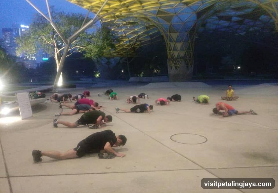 Evening Group Stretch Session
