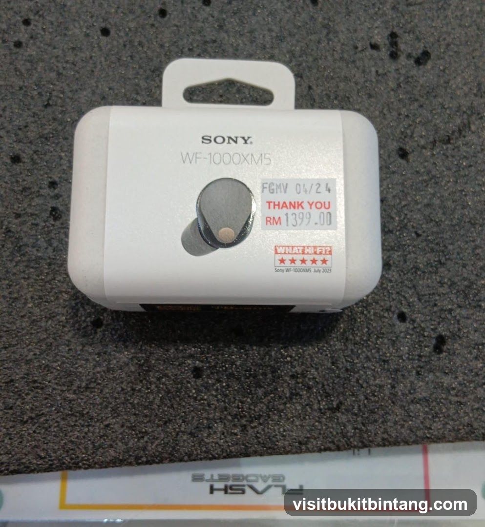 Sony WF-1000XM5 Earbuds