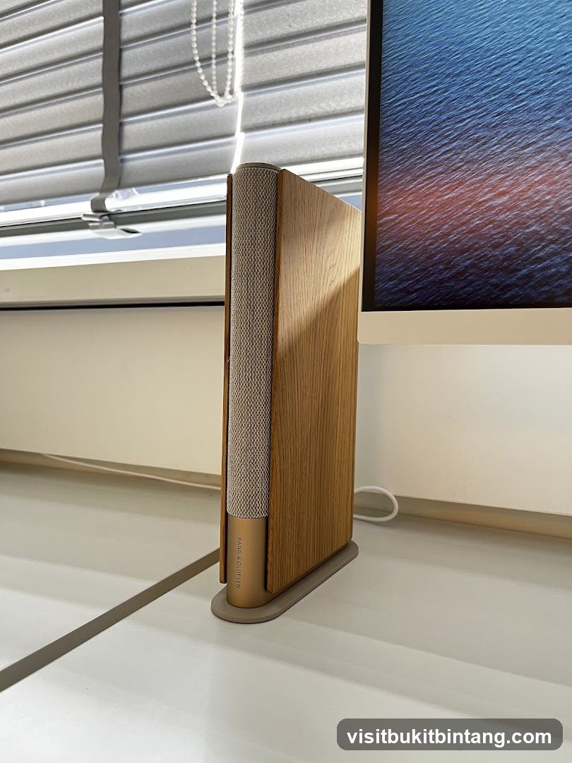 Bang & Olufsen Speaker