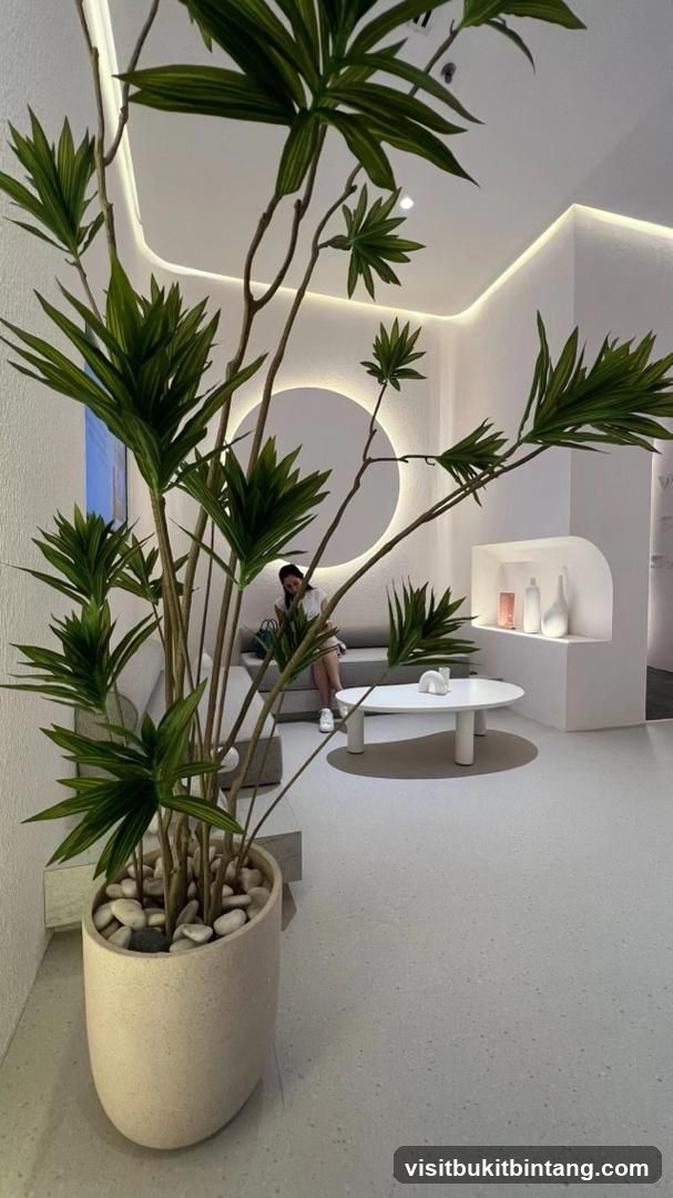Modern Interior with Plant and Seating Area
