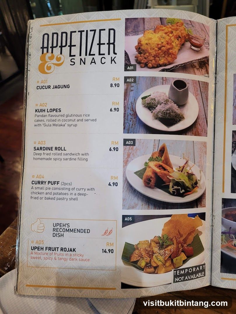 APPETIZER SNACK
