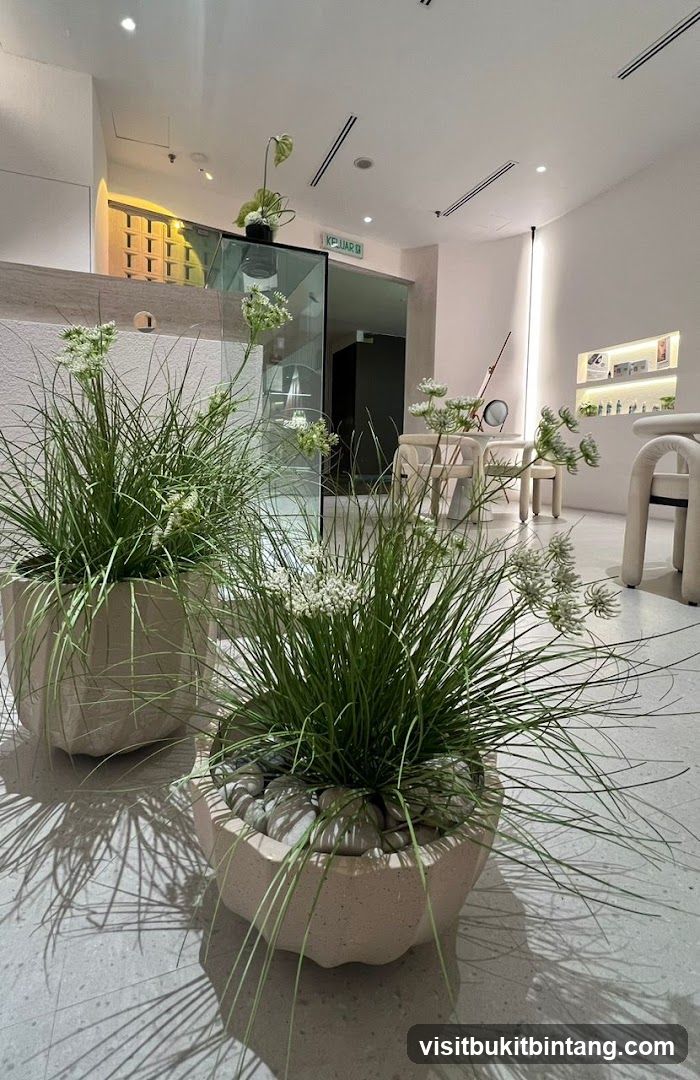Interior of a modern salon or spa