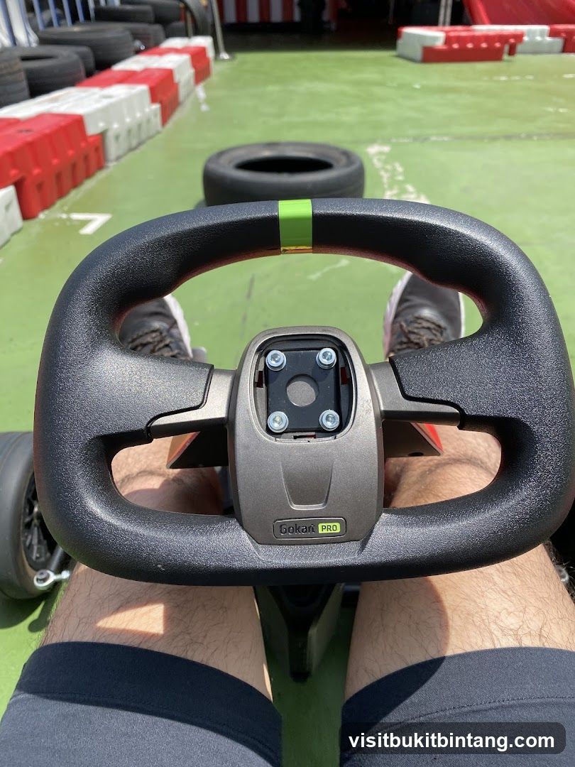 Go-Kart Steering Wheel