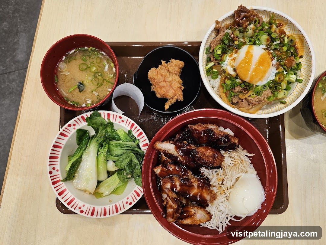 Japanese Meal Tray