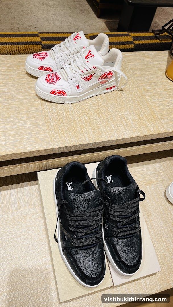 Louis Vuitton Sneakers