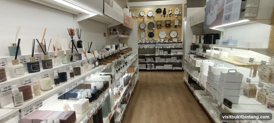 Home Goods Store Interior