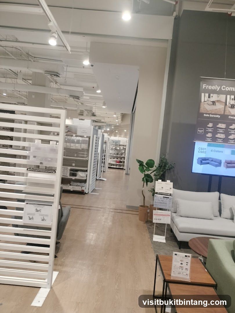 Furniture Store Interior