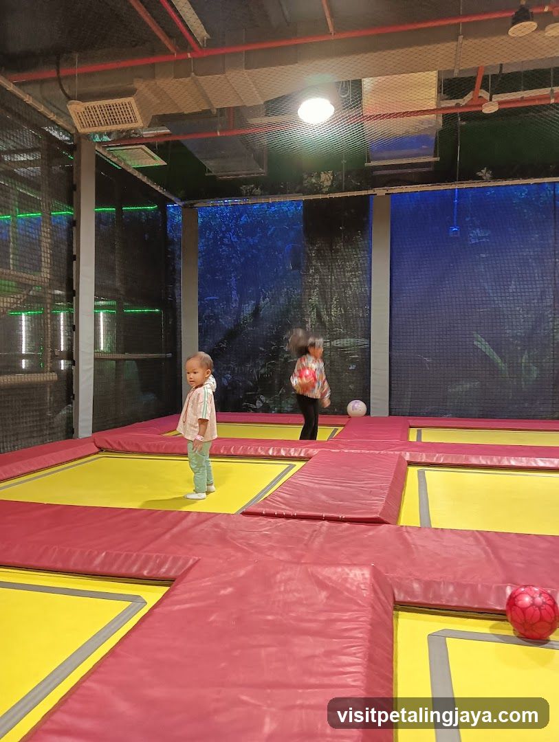 Indoor Bounce Park Interior
