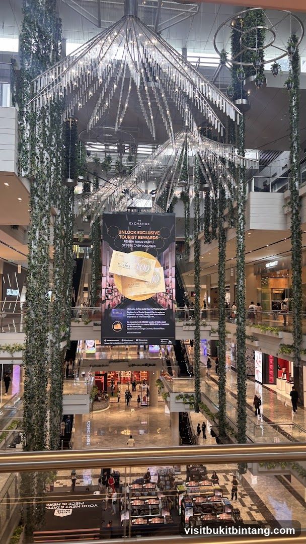 Mall Interior with Hanging Plants and Advertisement