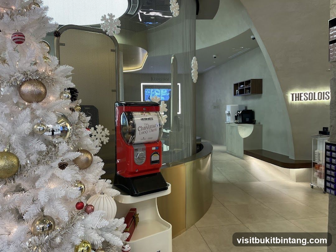 Interior of a salon with Christmas decorations