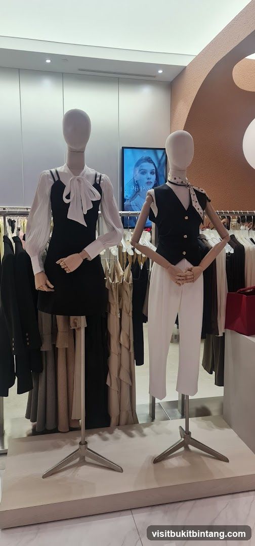 Mannequins in a clothing store