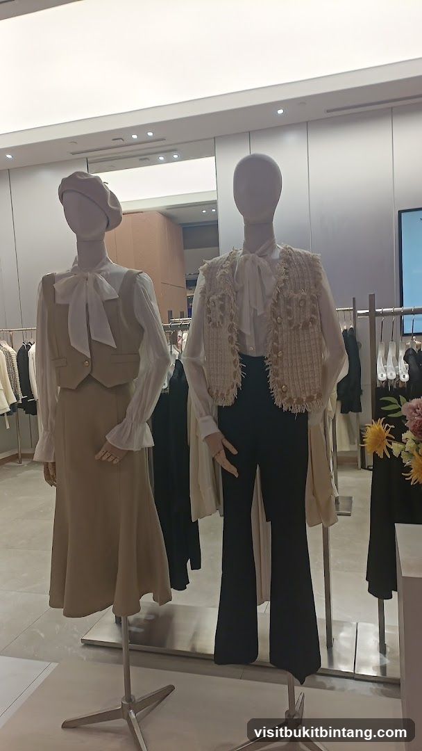 Mannequins in a clothing store