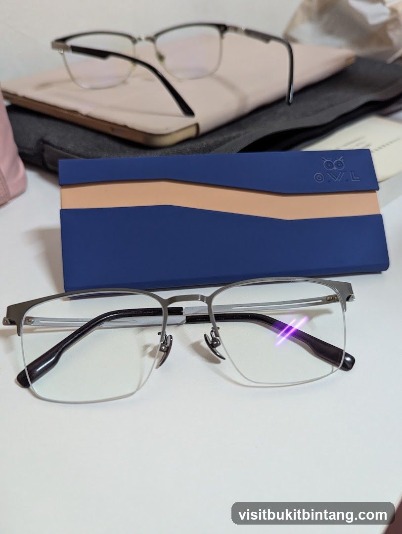 Eyeglasses and Case