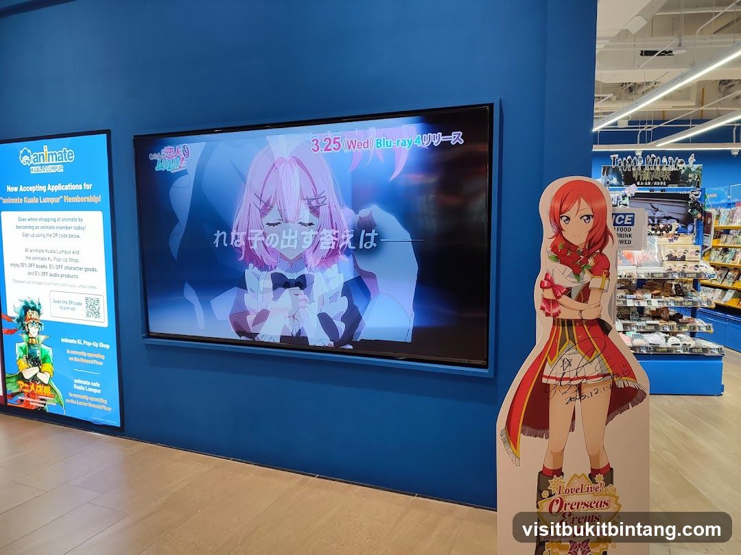Animate Store Display